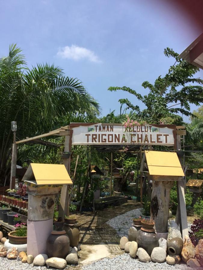Trigona Chalet Hotel Marang Exterior photo